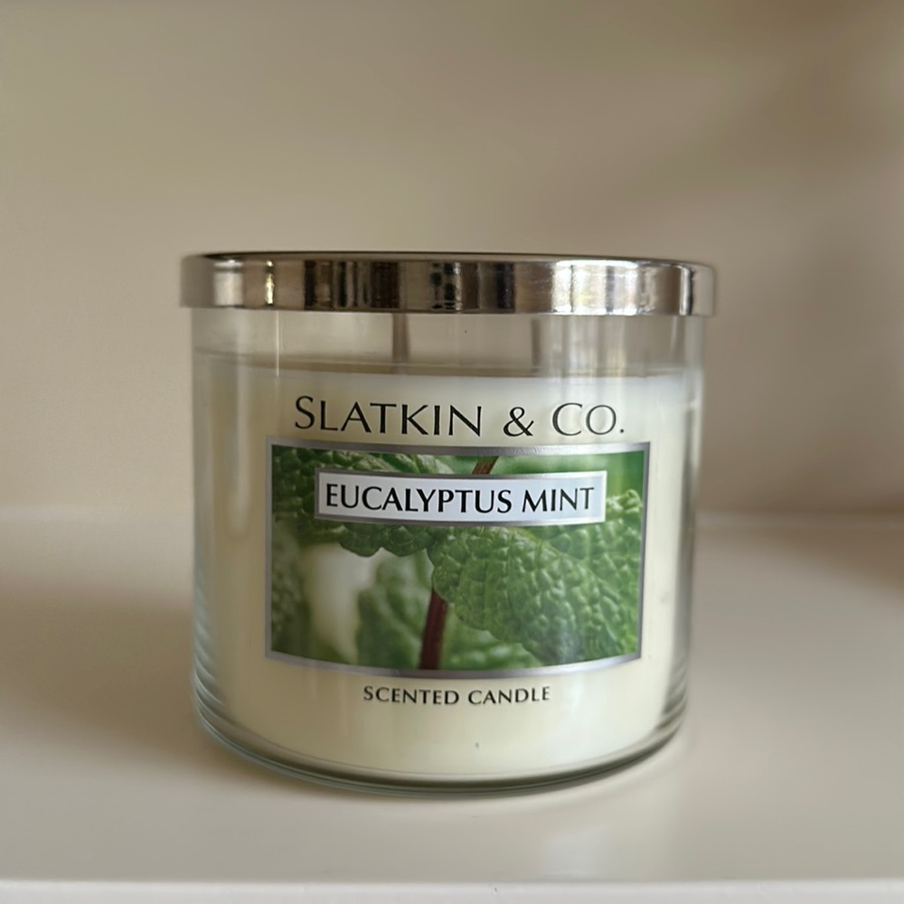 NEW Slatkin & Co. Eucalyptus Mint Scented Large Jar Candle